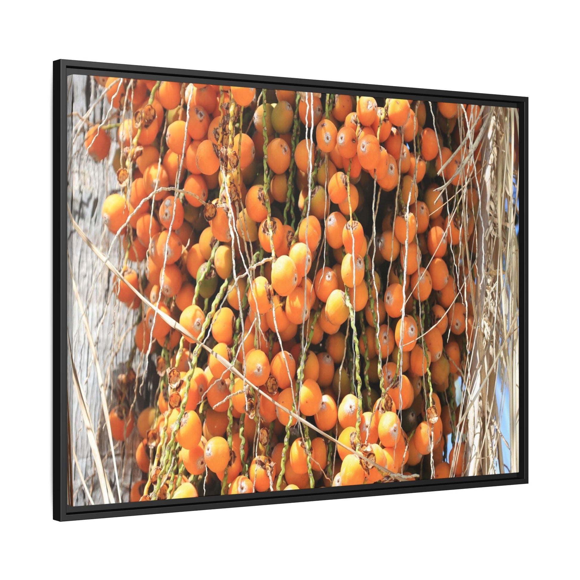 Clusters of Sunlight - Unique Canvas Wall Art - Art By Earth