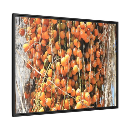 Clusters of Sunlight - Unique Canvas Wall Art - Art By Earth