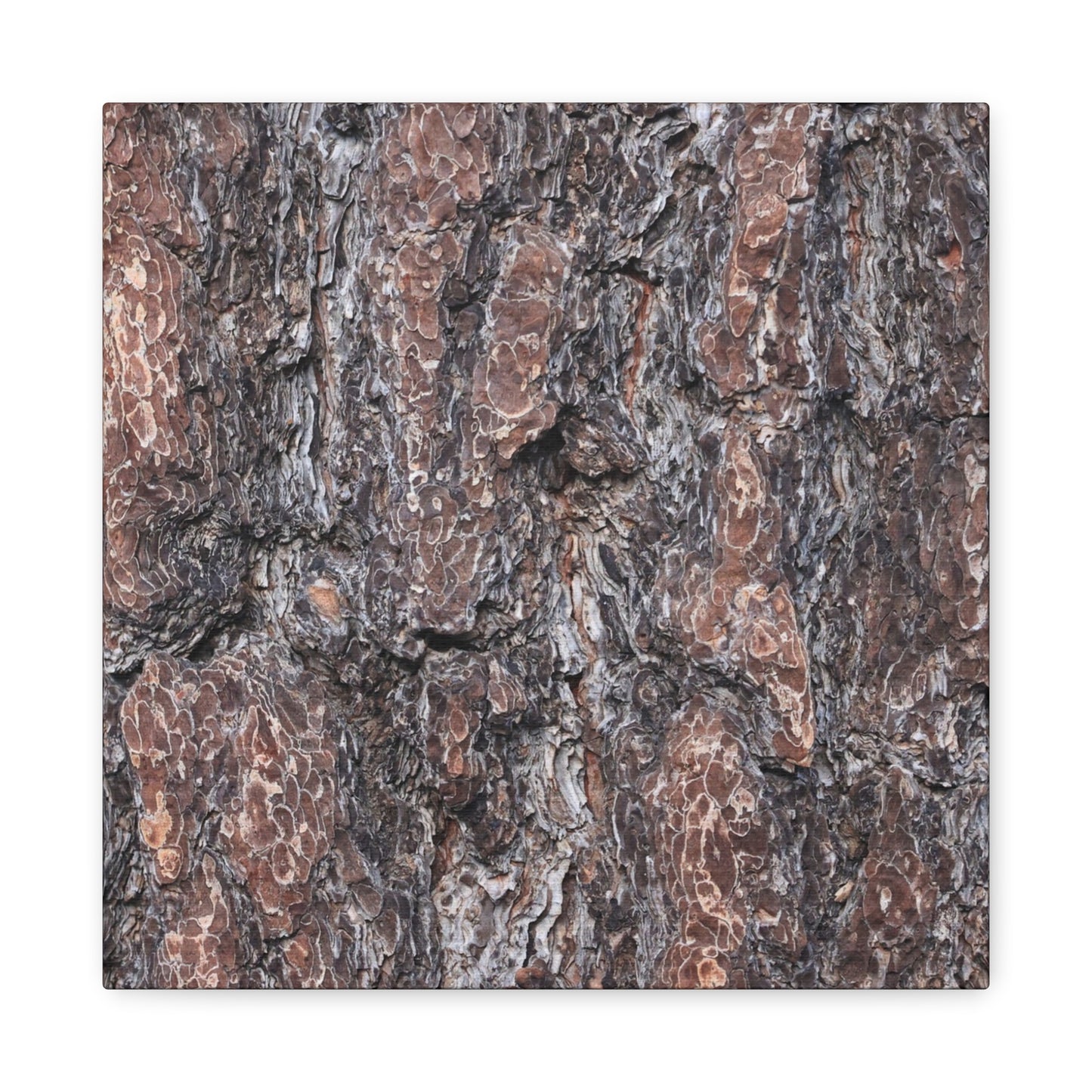 Textured Whispers of an Ancient Tree - Unique Frameless Canvas Wall Art