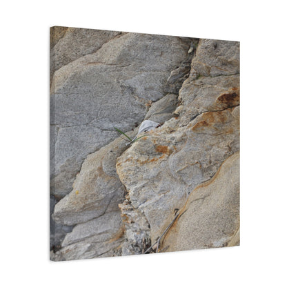 Fractal Earth - Unique Frameless Canvas Wall Art - Art By Earth