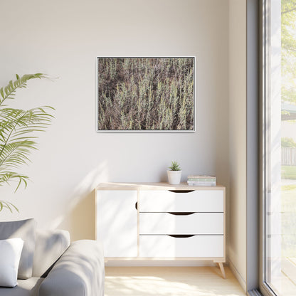 Sage Fields Forever - Unique Stretched Canvas Wall Art - Art By Earth