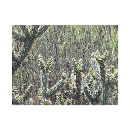 Spiny Sentinels - Unique Frameless Canvas Wall Art - Art By Earth