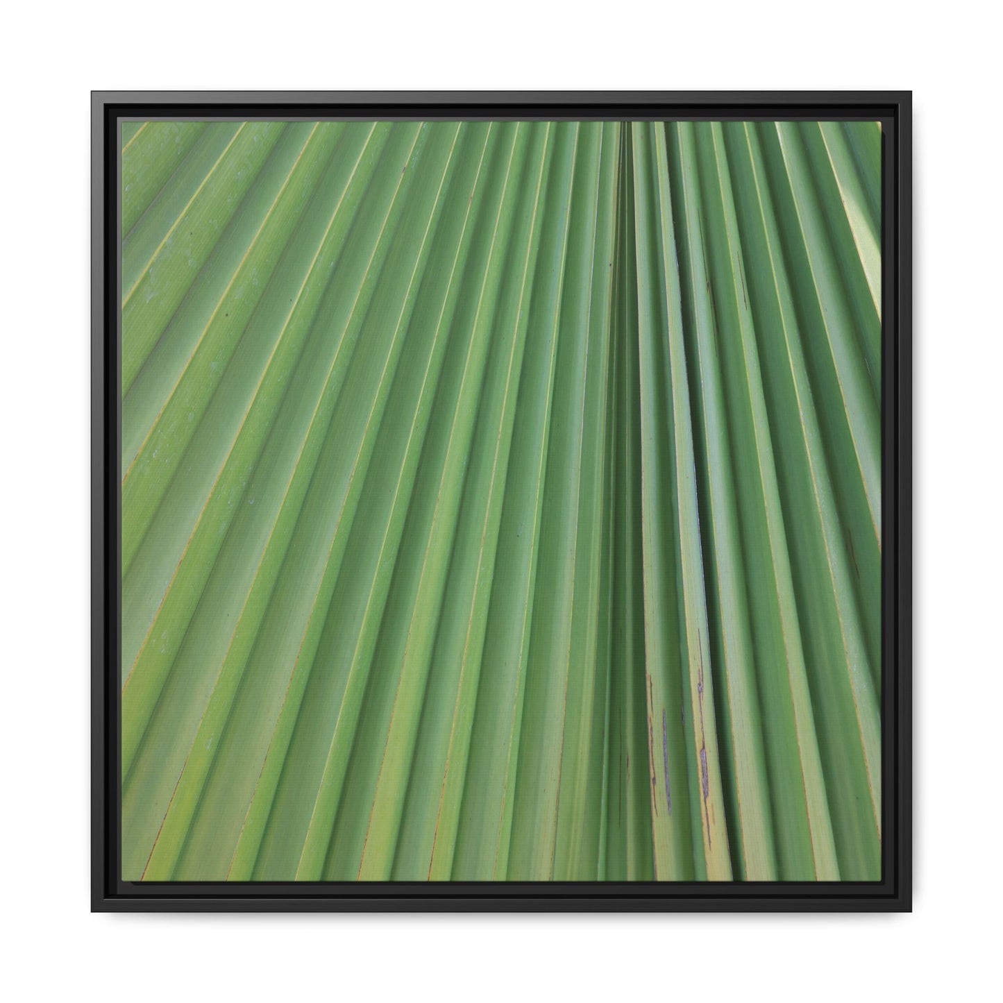 Emerald Rays - Unique Stretched Canvas Wall Art - Art By Earth