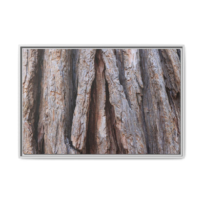 Nature's Sculpture - Unique Stretched Canvas Wall Art - Art By Earth