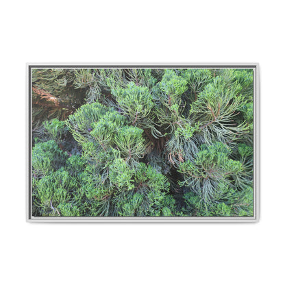 Verdant Whispers - Unique Stretched Canvas Wall Art - Art By Earth