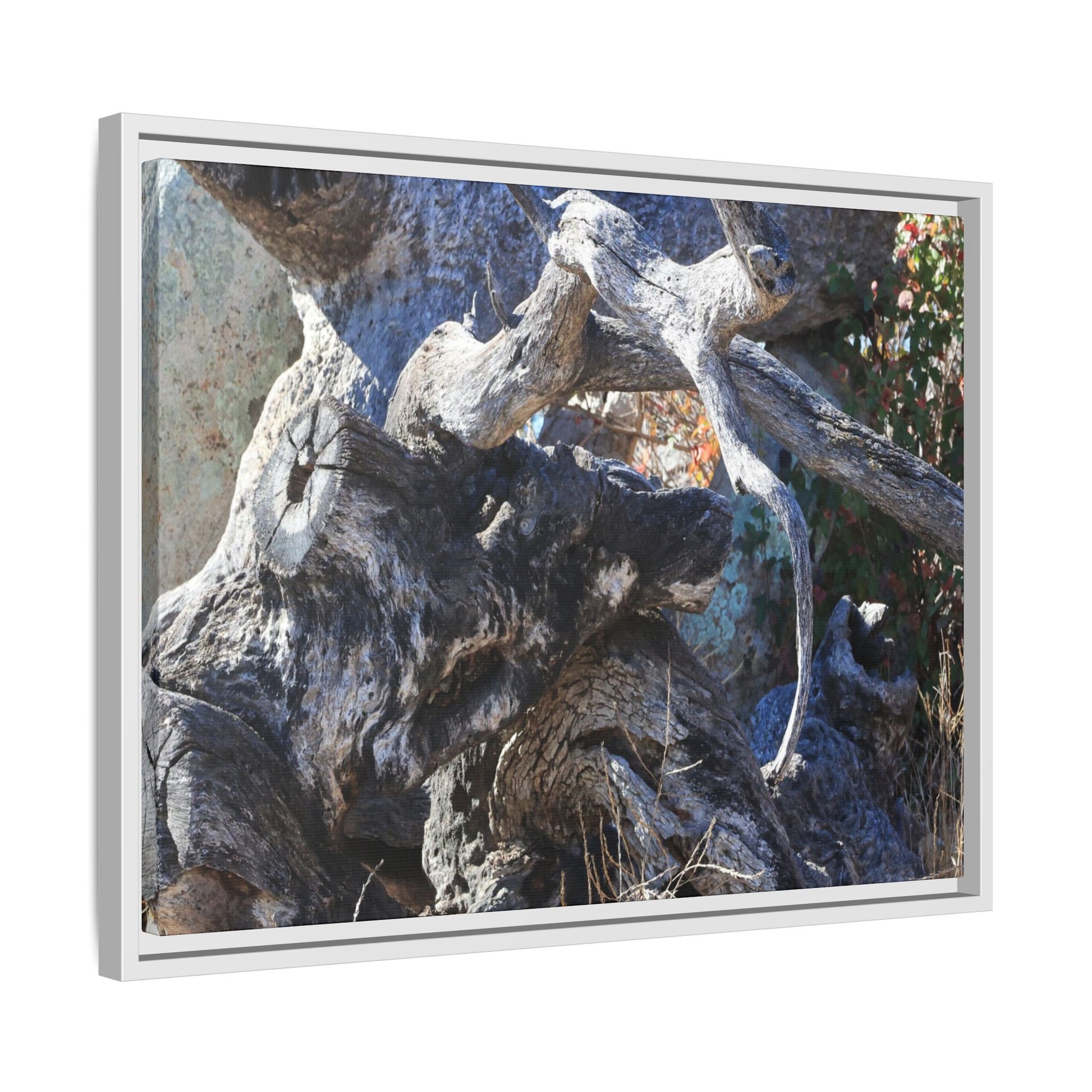 Resilient Roots - Unique Stretched Canvas Wall Art - Art By Earth