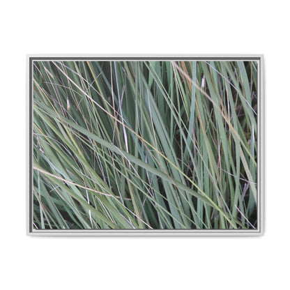 Grassland Symphony - Unique Stretched Canvas Wall Art - Art By Earth
