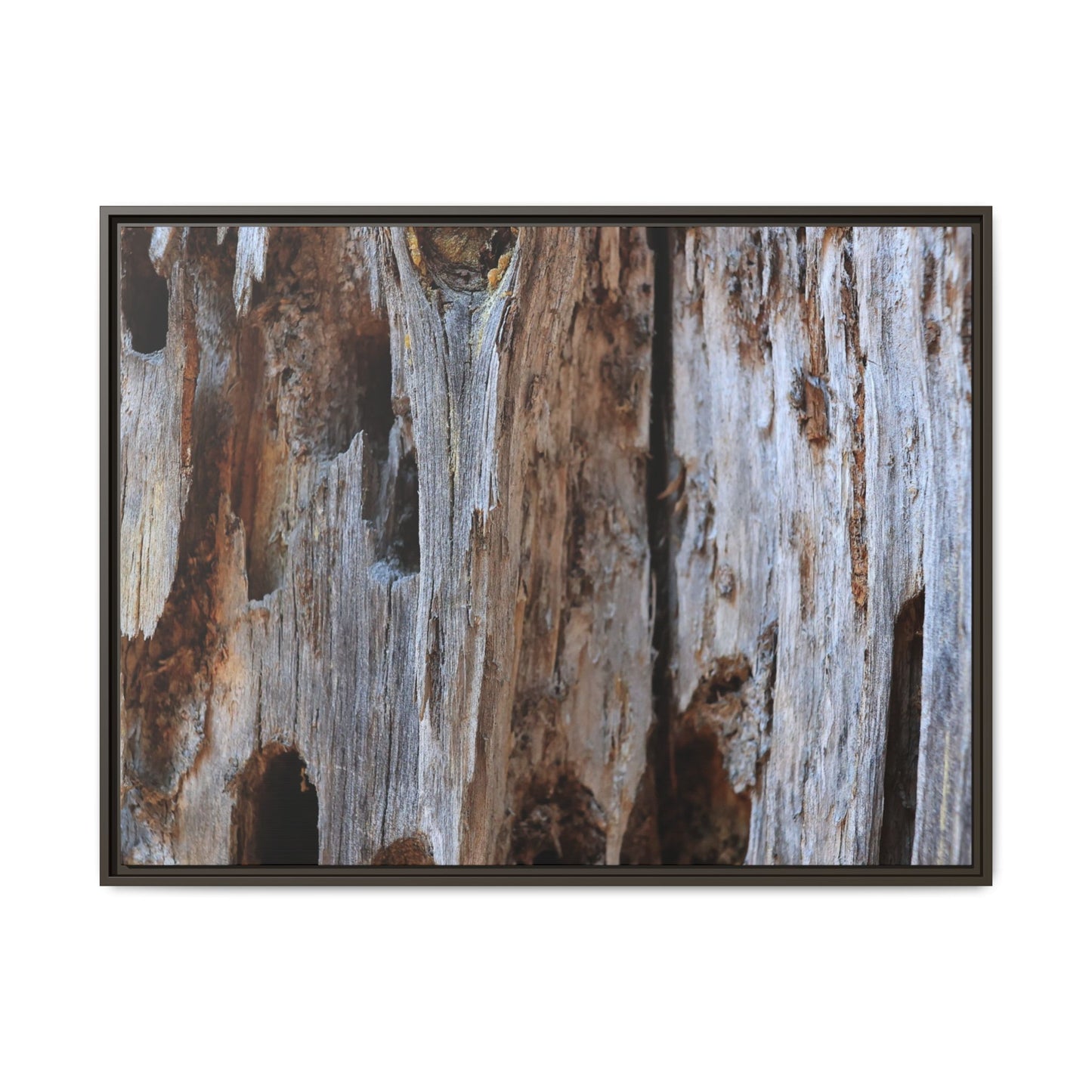 Decaying Splendor - Unique Stretched Canvas Wall Art - Art By Earth