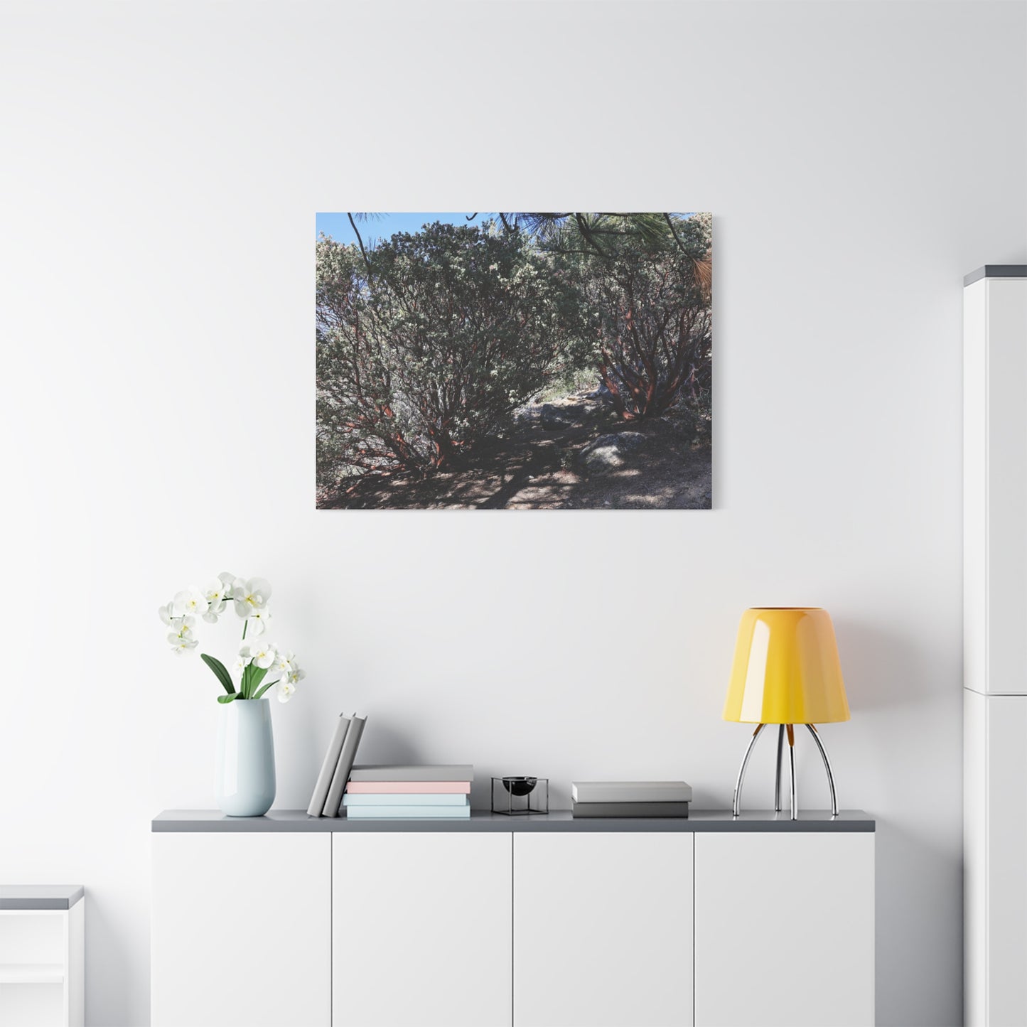 Desert Blooms - Unique Frameless Canvas Wall Art