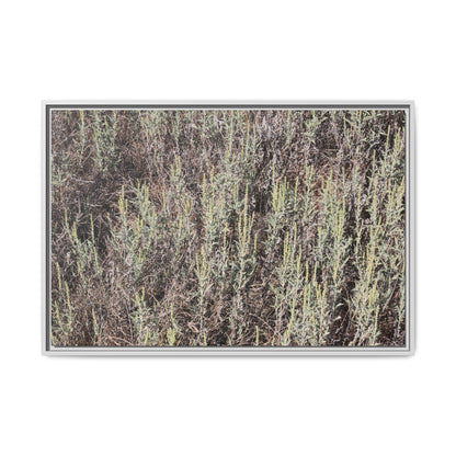Sage Fields Forever - Unique Stretched Canvas Wall Art - Art By Earth