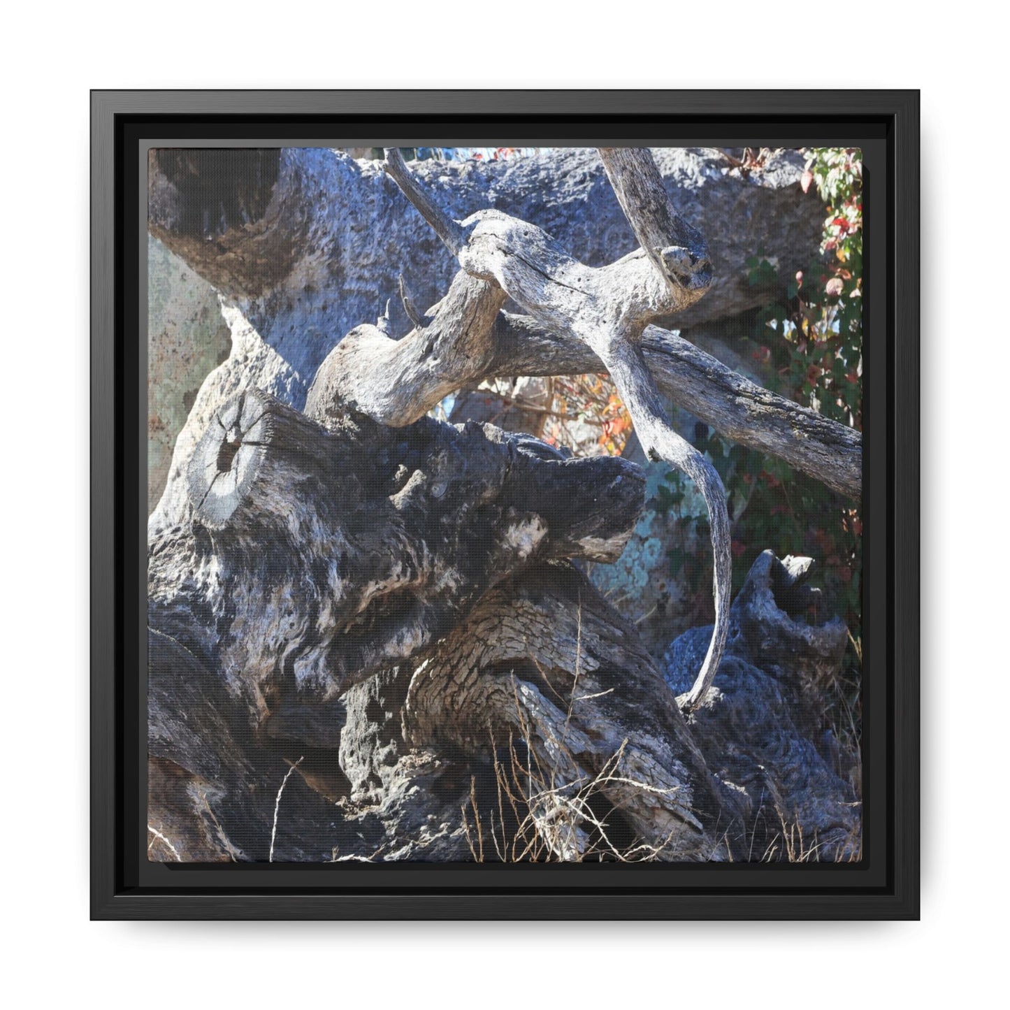 Resilient Roots - Unique Stretched Canvas Wall Art - Art By Earth