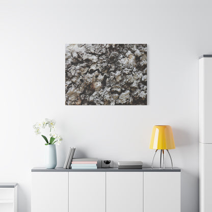Cracked Earth Tapestry - Unique Frameless Canvas Wall Art - Art By Earth