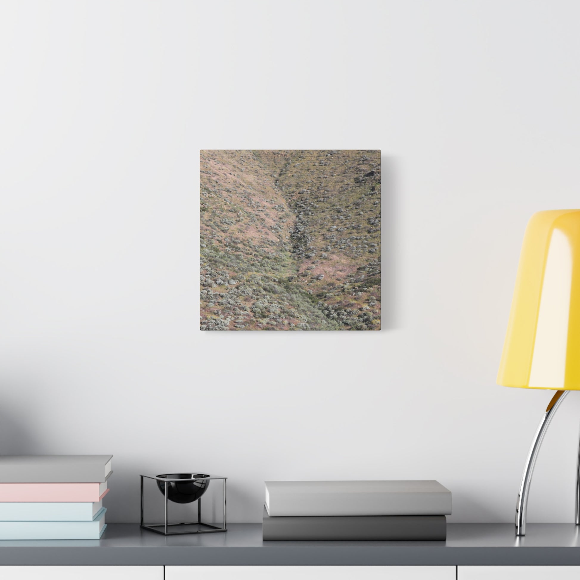 Desert Hillside - Unique Frameless Canvas Wall Art - Art By Earth
