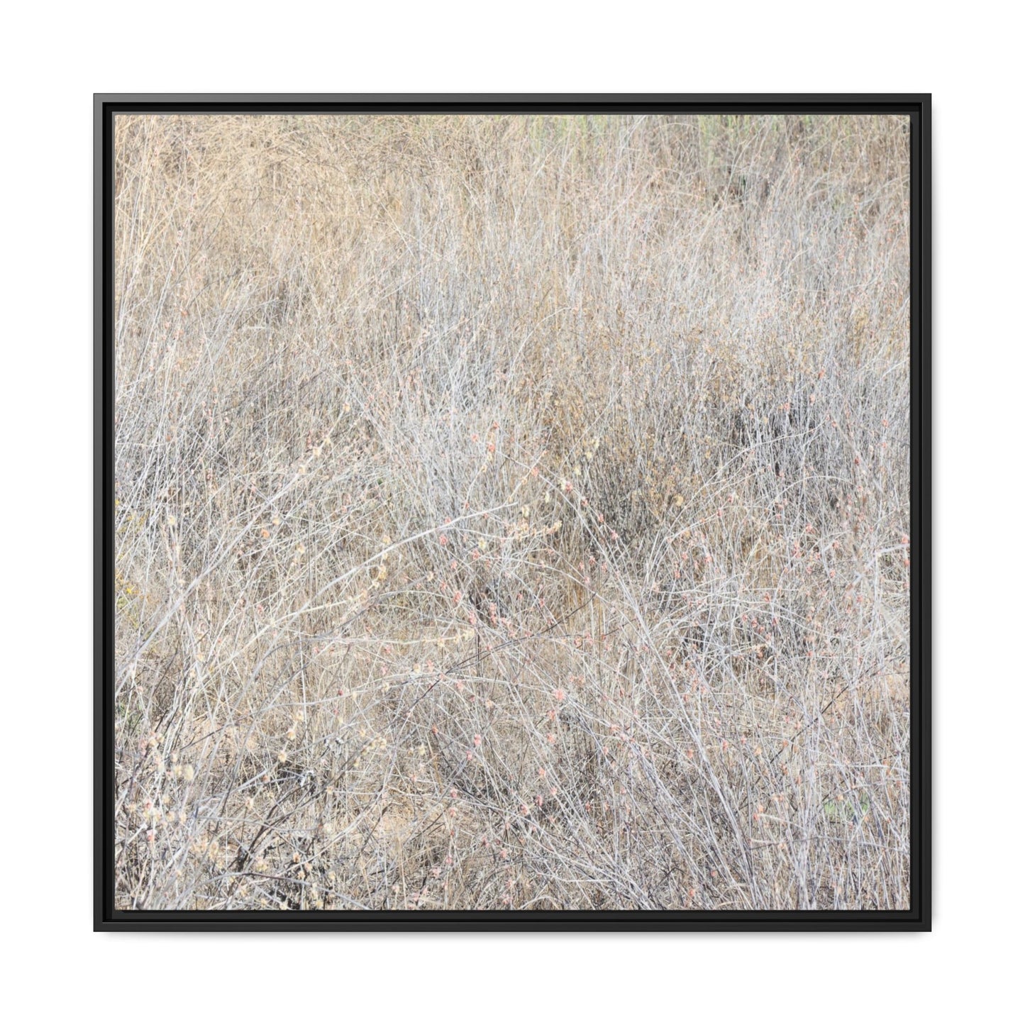 Whispers of Dry Grass - Unique Stretched Canvas Wall Art - Art By Earth