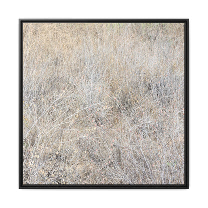 Whispers of Dry Grass - Unique Stretched Canvas Wall Art - Art By Earth