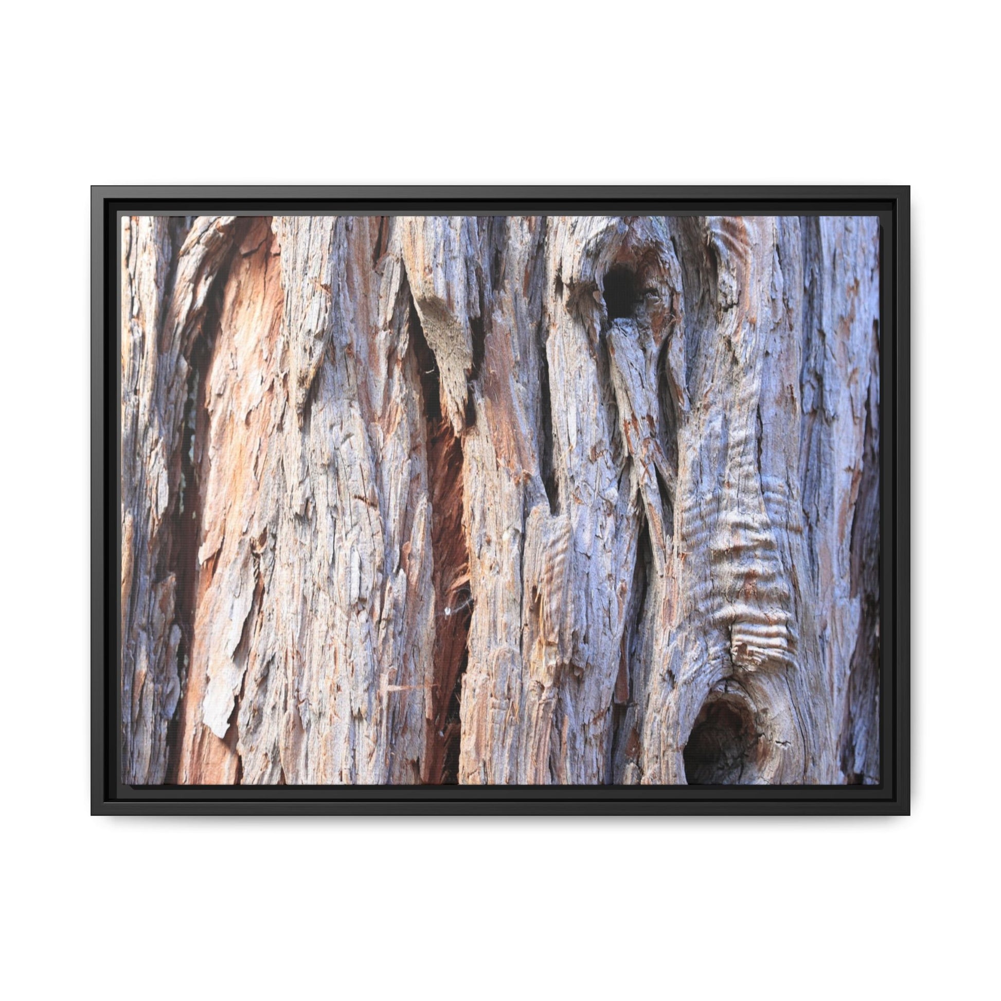 Nature's Grain - Unique Stretched Canvas Wall Art - Art By Earth