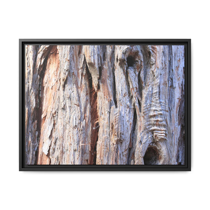 Nature's Grain - Unique Stretched Canvas Wall Art - Art By Earth