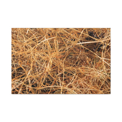 Dry Grass - Unique Frameless Canvas Wall Art - Art By Earth