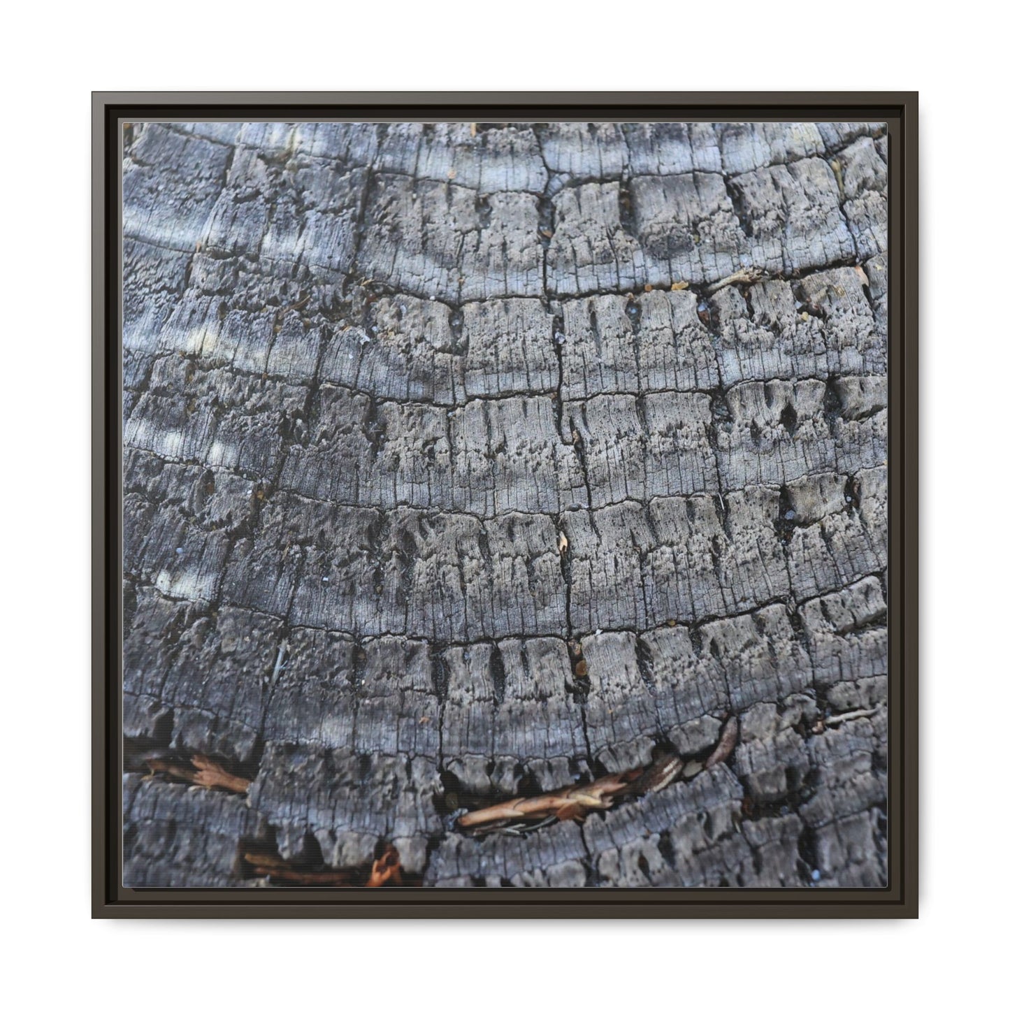 Charred Memories - Unique Stretched Canvas Wall Art - Art By Earth