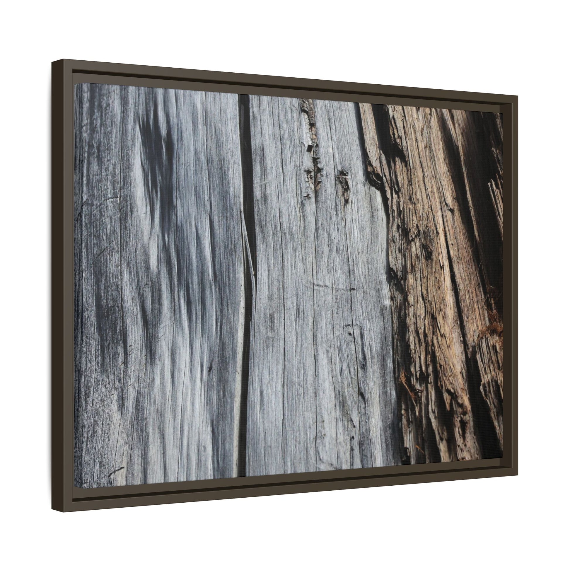 Wood's Lament - Unique Stretched Canvas Wall Art - Art By Earth