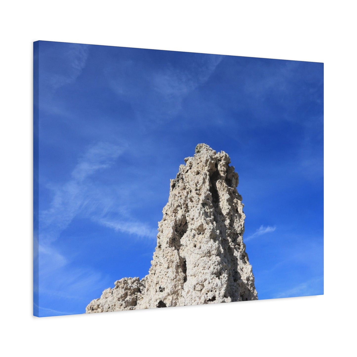 Reaching Skyward - Unique Frameless Canvas Wall Art