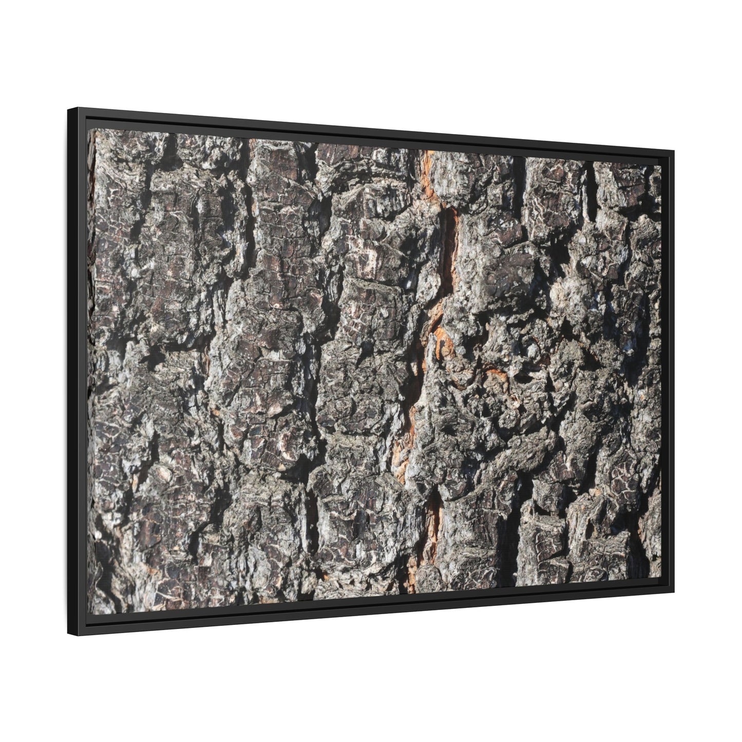 Aged Beauty - Unique Stretched Canvas Wall Art - Art By Earth