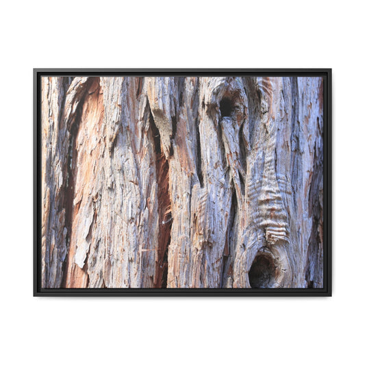 Nature's Grain - Unique Stretched Canvas Wall Art - Art By Earth