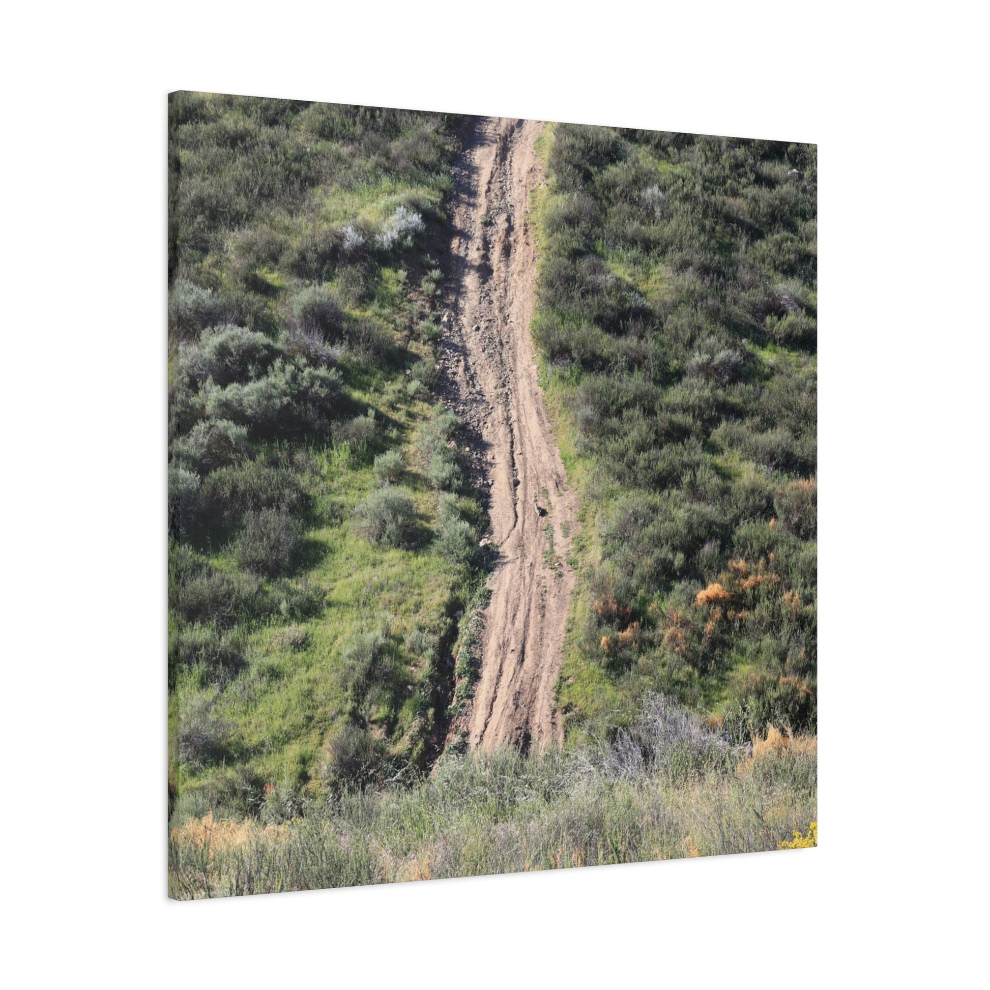 Straight Road Cutting Through Wilderness - Unique Frameless Canvas Wall Art - Art By Earth