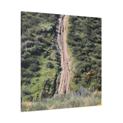 Straight Road Cutting Through Wilderness - Unique Frameless Canvas Wall Art - Art By Earth