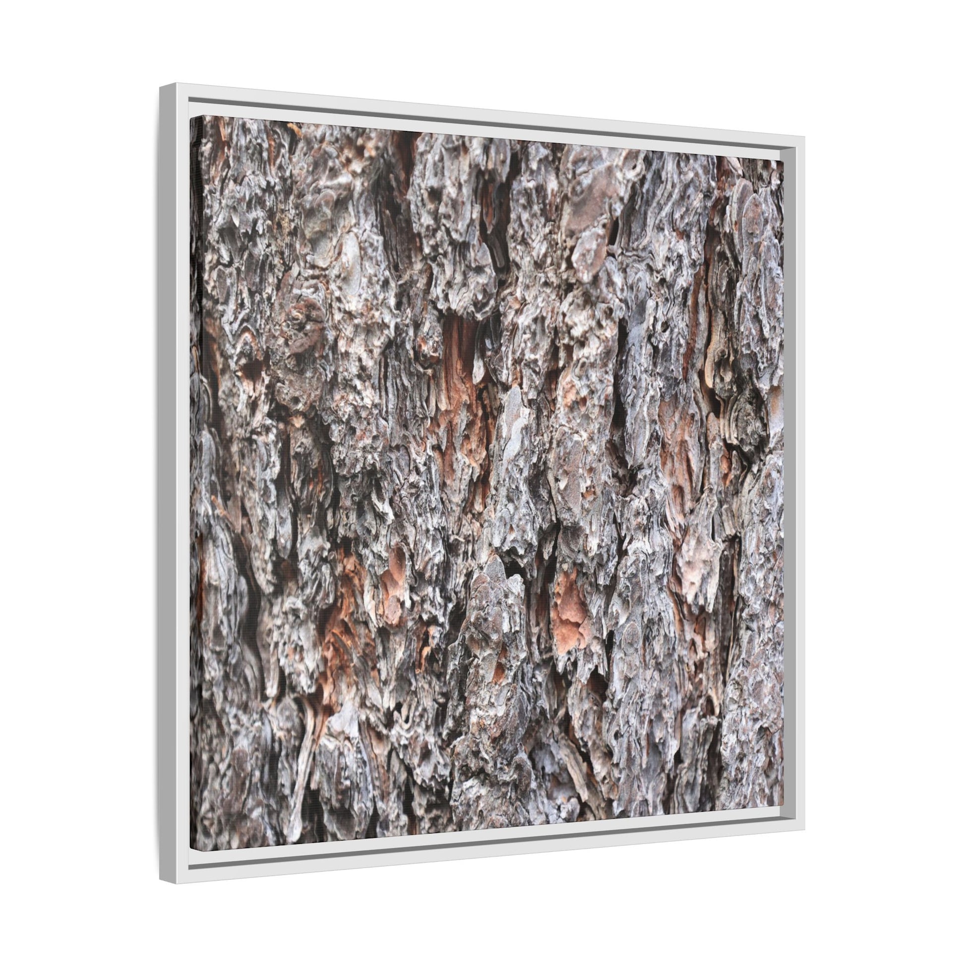 Rugged Cortex - Unique Stretched Canvas Wall Art - Art By Earth