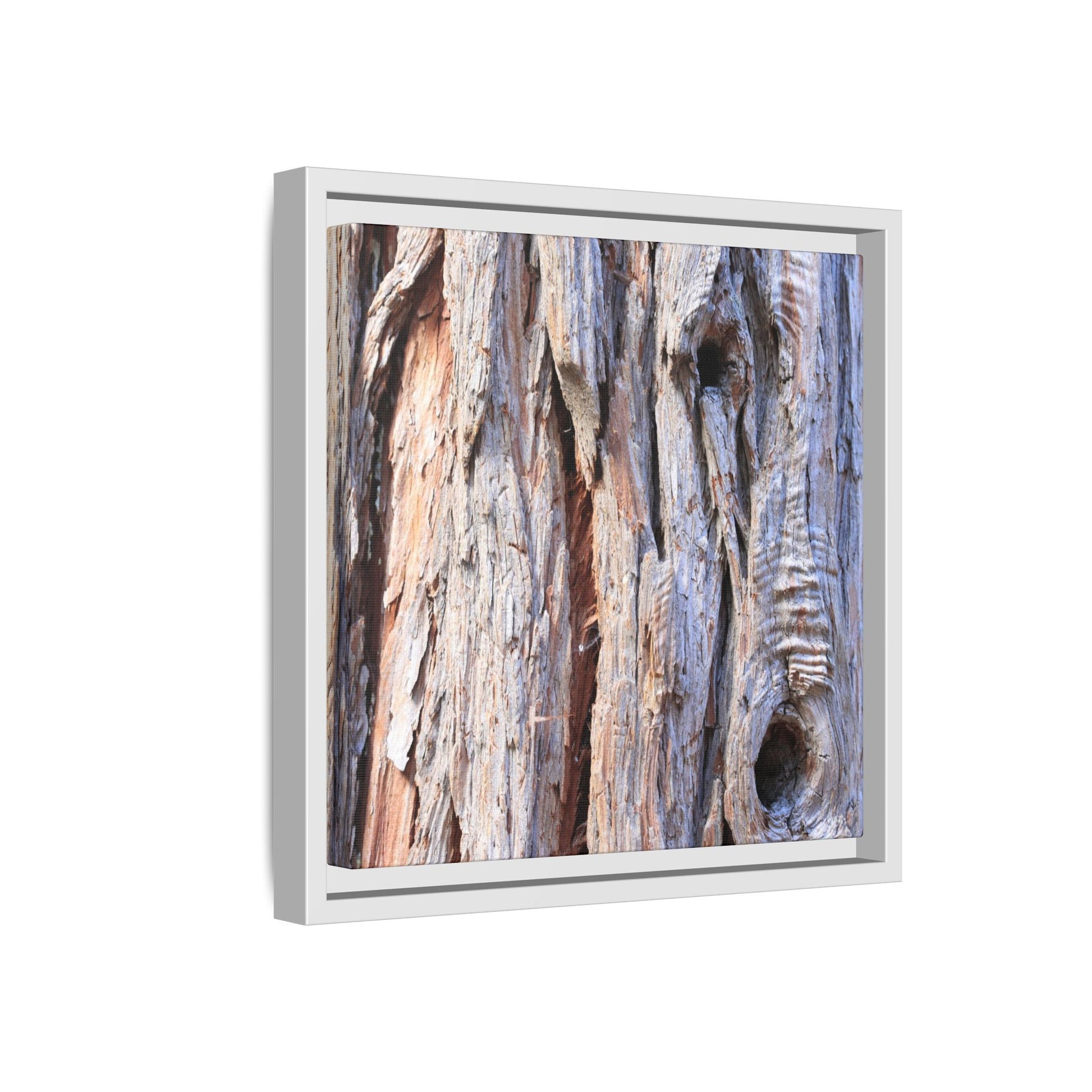 Nature's Grain - Unique Stretched Canvas Wall Art - Art By Earth
