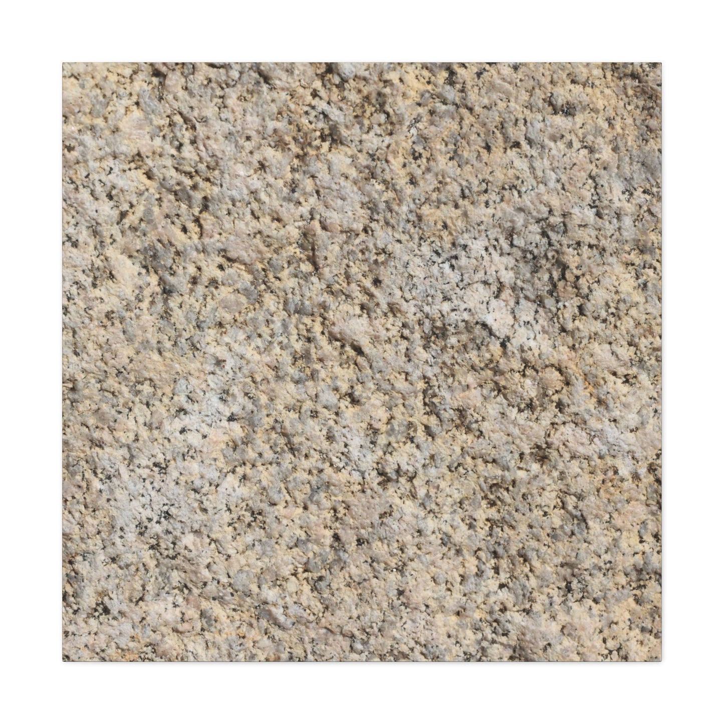 Granular Echoes - Unique Frameless Canvas Wall Art - Art By Earth