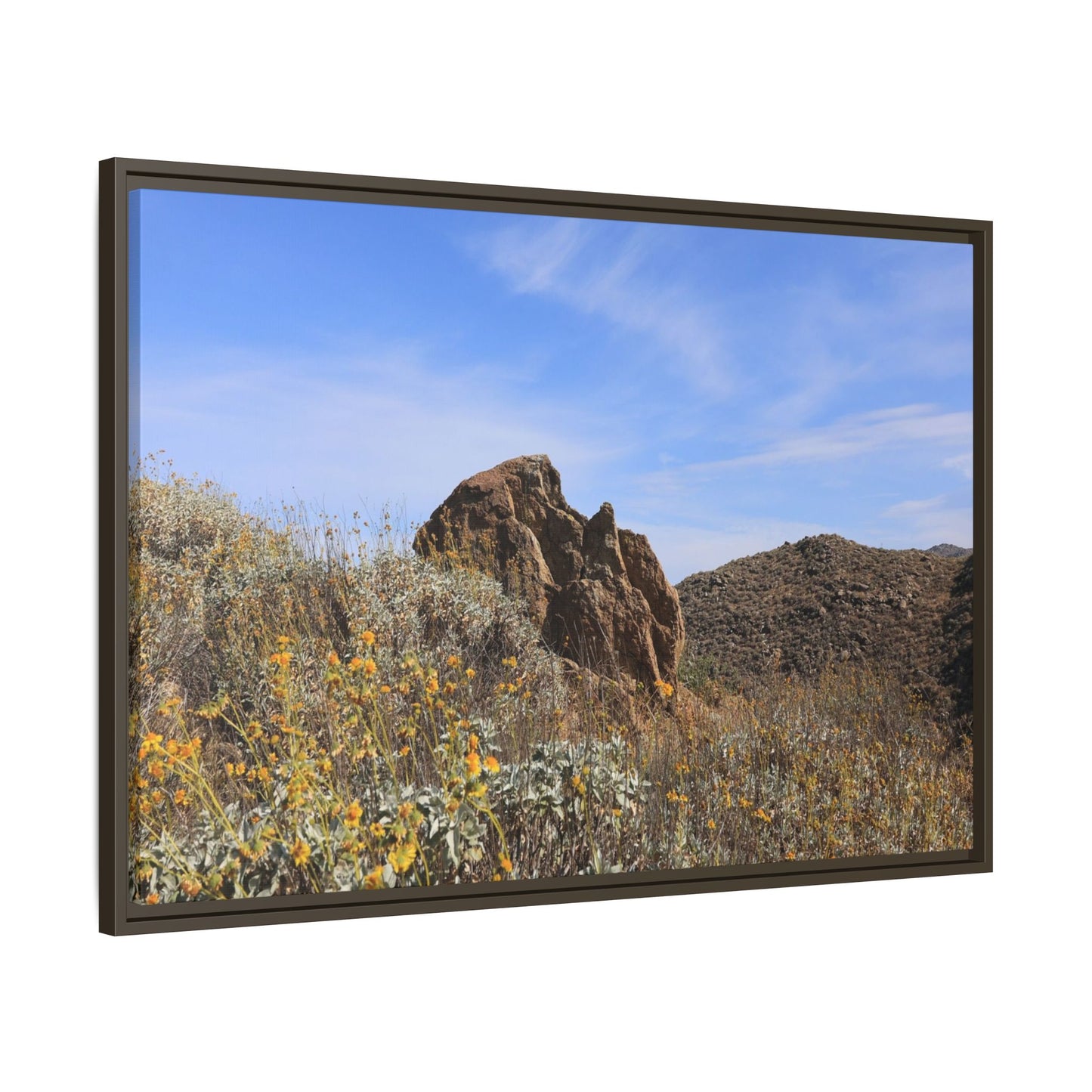 Golden Flowers in Arid Landscape - Unique Stretched Canvas Wall Art - Art By Earth