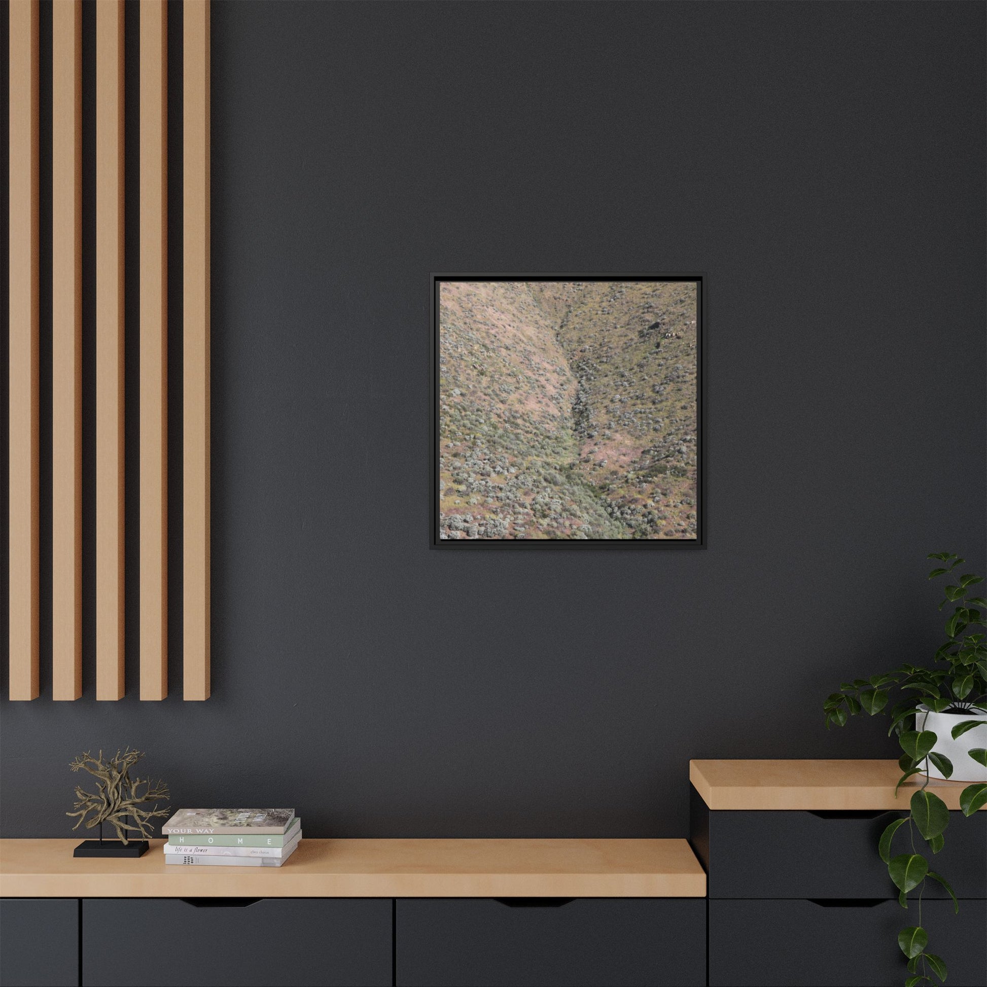 Mountain Slope with Desert Vegetation - Unique Stretched Canvas Wall Art - Art By Earth