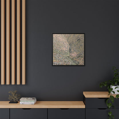 Mountain Slope with Desert Vegetation - Unique Stretched Canvas Wall Art - Art By Earth