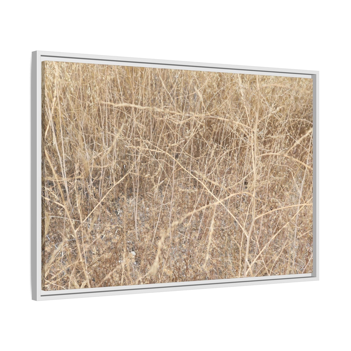 Golden Stalks - Unique Stretched Canvas Wall Art - Art By Earth