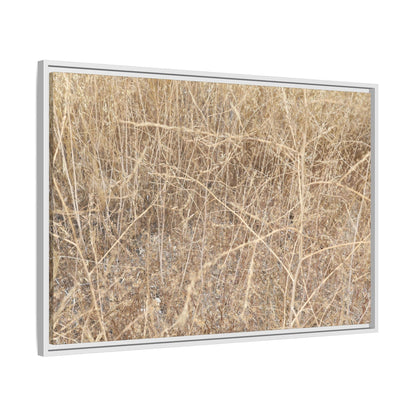 Golden Stalks - Unique Stretched Canvas Wall Art - Art By Earth