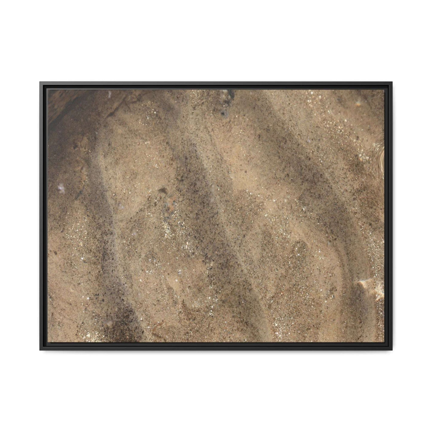 Tidal Pool Secrets - Unique Stretched Canvas Wall Art - Art By Earth