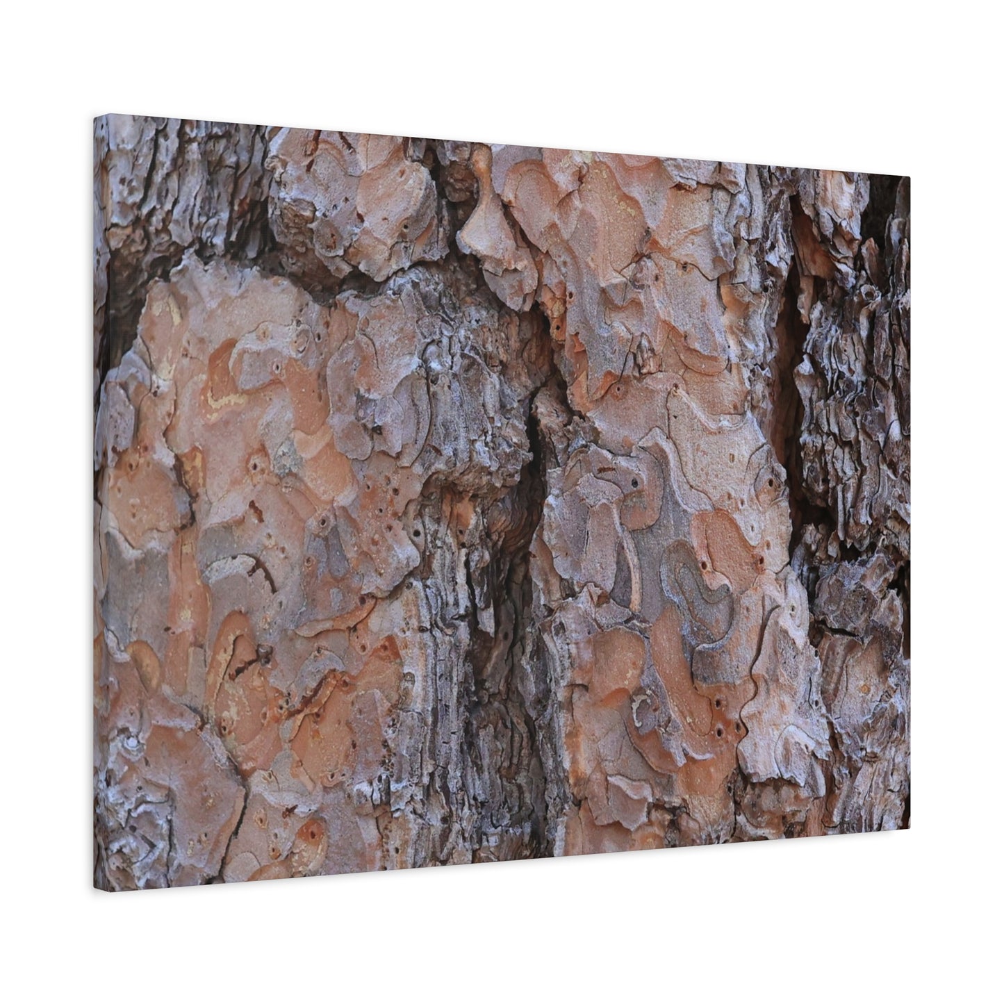 Arboreal Armor - Unique Frameless Canvas Wall Art - Art By Earth