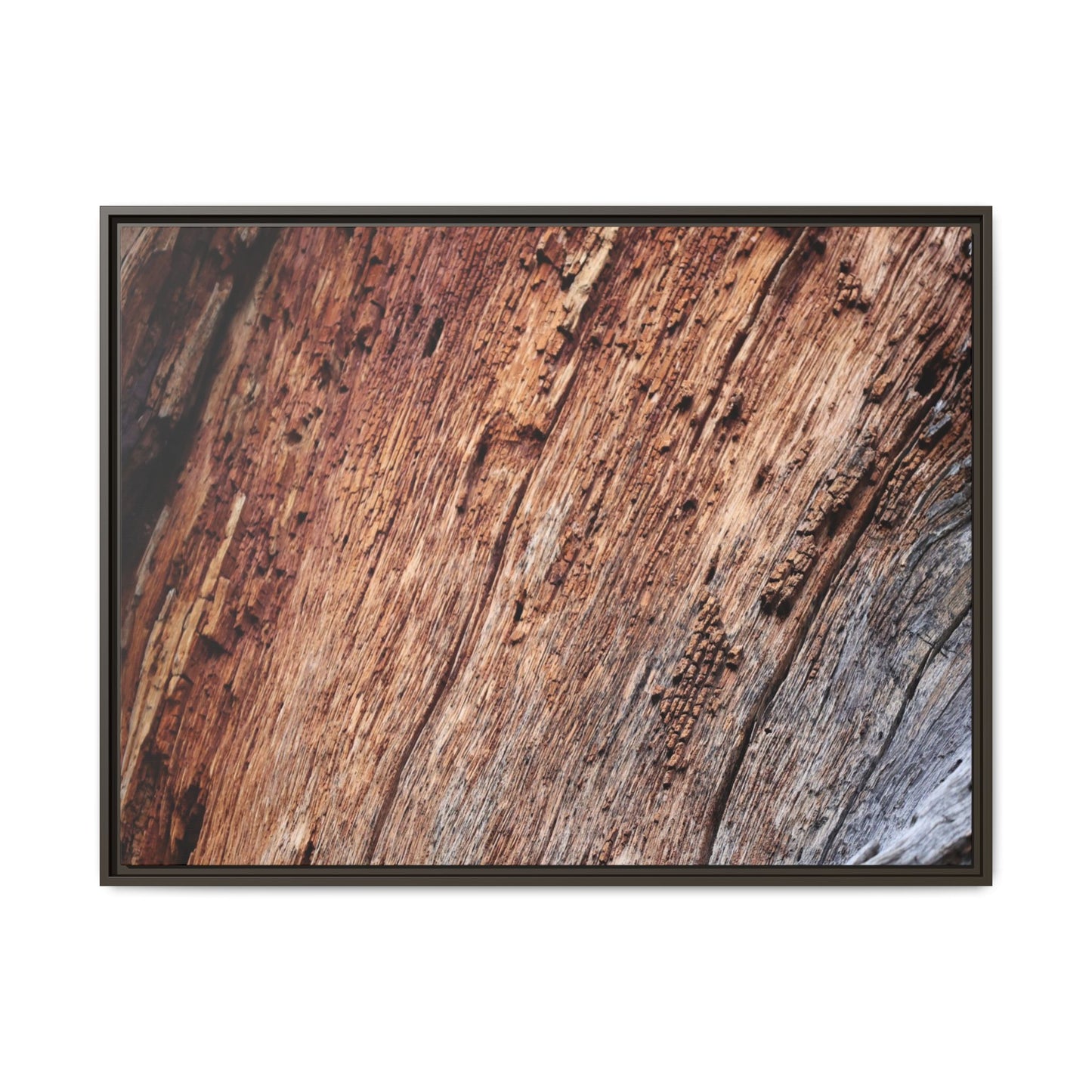 Time's Mark - Unique Stretched Canvas Wall Art - Art By Earth