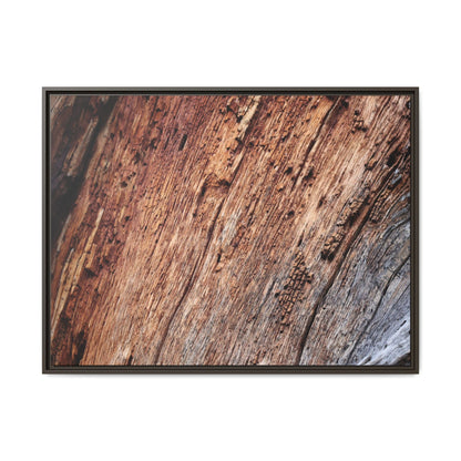 Time's Mark - Unique Stretched Canvas Wall Art - Art By Earth