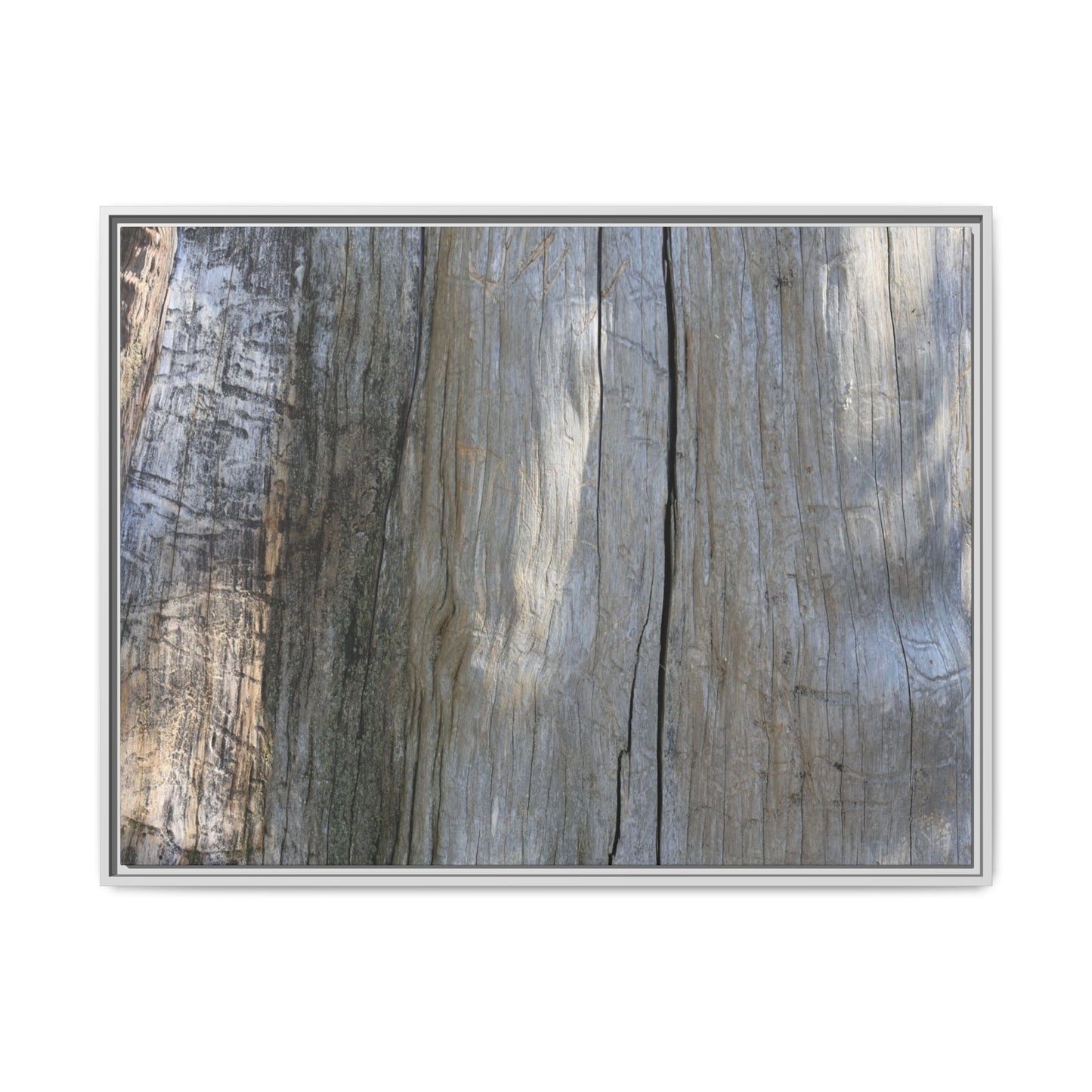 Cracked Timber Texture - Unique Stretched Canvas Wall Art