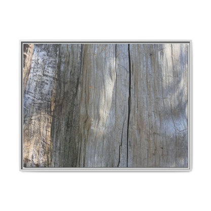 Cracked Timber Texture - Unique Stretched Canvas Wall Art