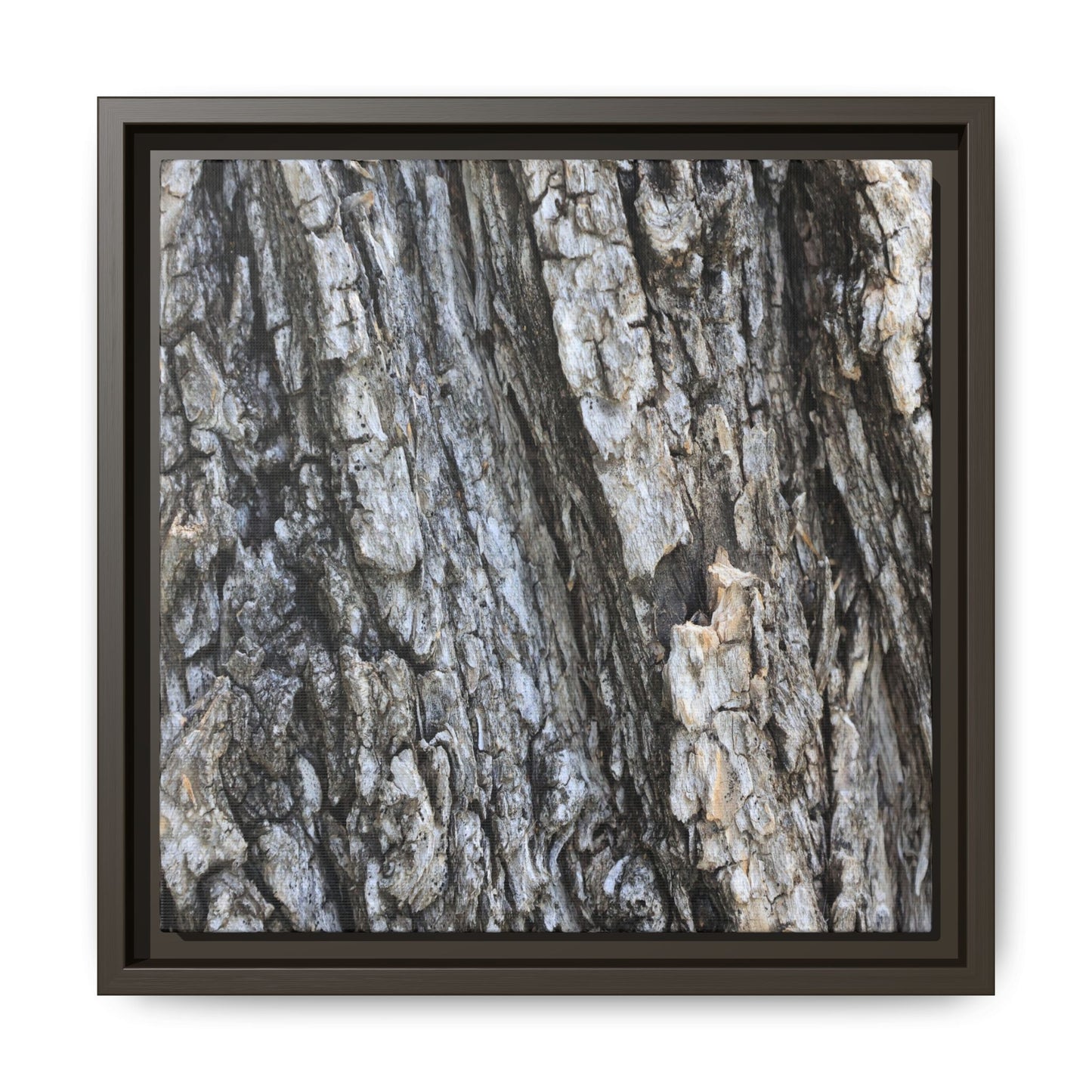 Twisted Textures - Unique Stretched Canvas Wall Art - Art By Earth