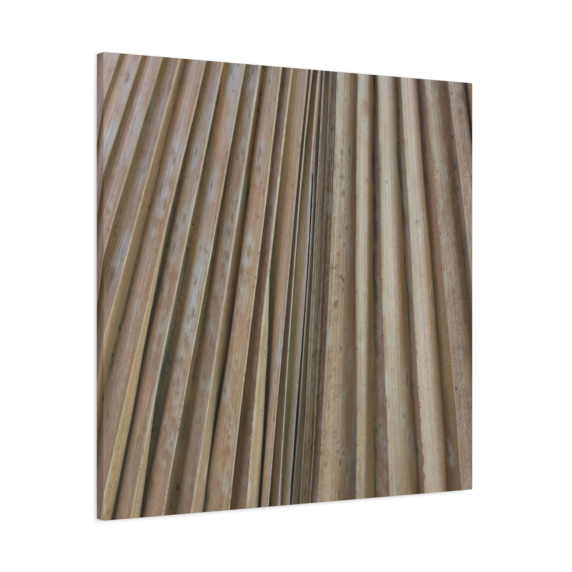 Linear Rhythm - Unique Frameless Canvas Wall Art - Art By Earth