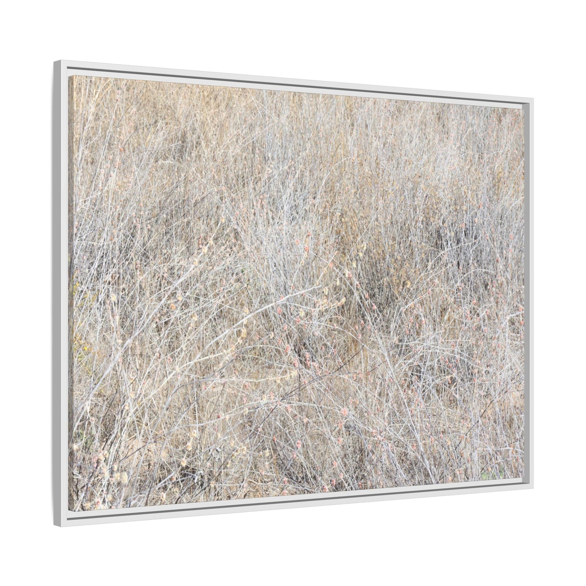Faded Memories - Unique Stretched Canvas Wall Art - Art By Earth
