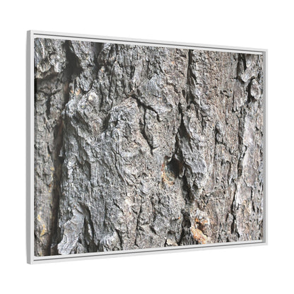 Crusty Exterior - Unique Stretched Canvas Wall Art - Art By Earth