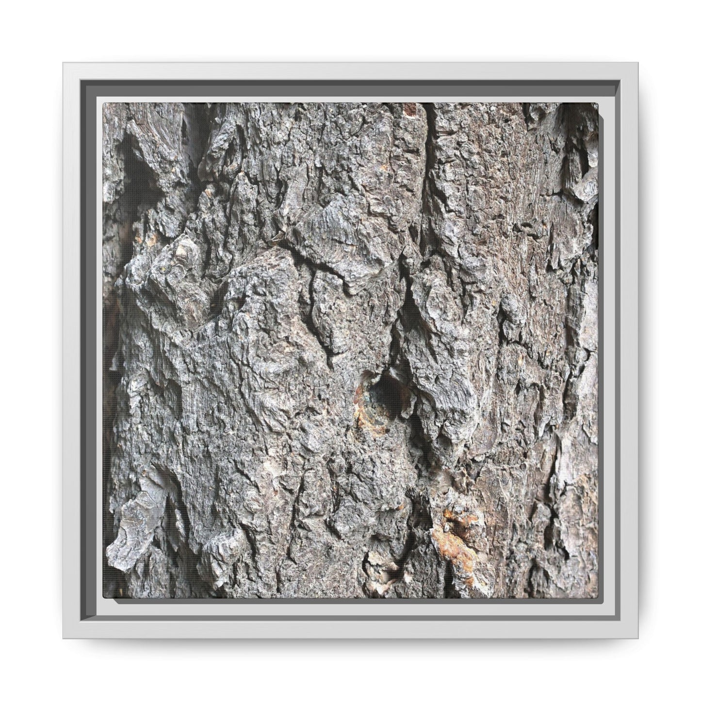 Crusty Exterior - Unique Stretched Canvas Wall Art - Art By Earth