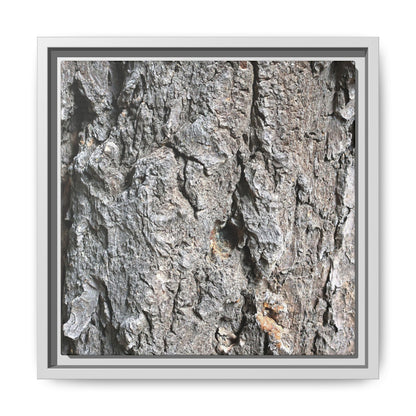 Crusty Exterior - Unique Stretched Canvas Wall Art - Art By Earth