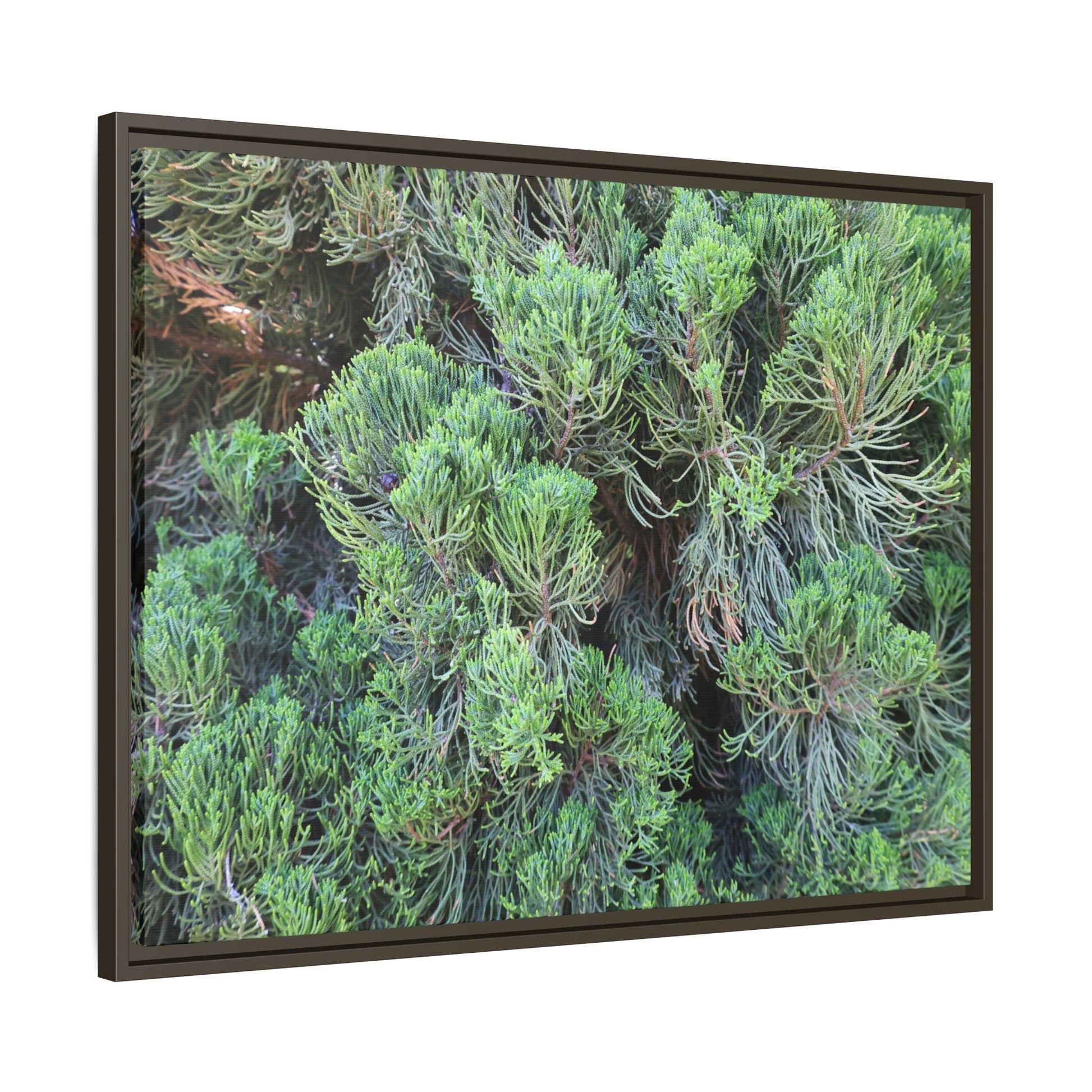 Verdant Whispers - Unique Stretched Canvas Wall Art - Art By Earth